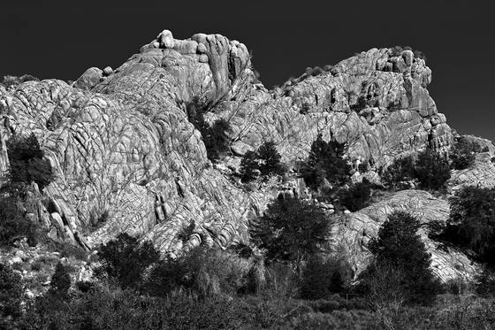 Gator_rock