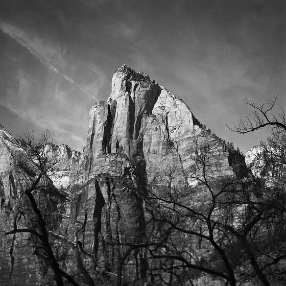 From_the_valley