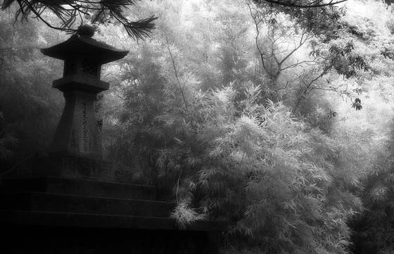 Korean_gardens_in_infrared__3