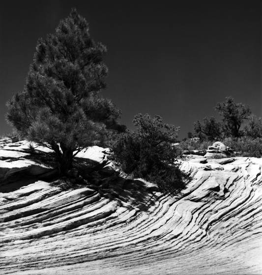 Zion