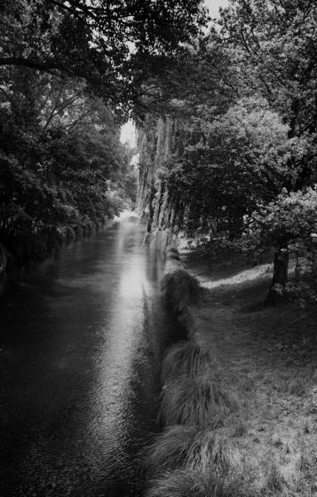 The_way
