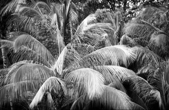 Untitled_1