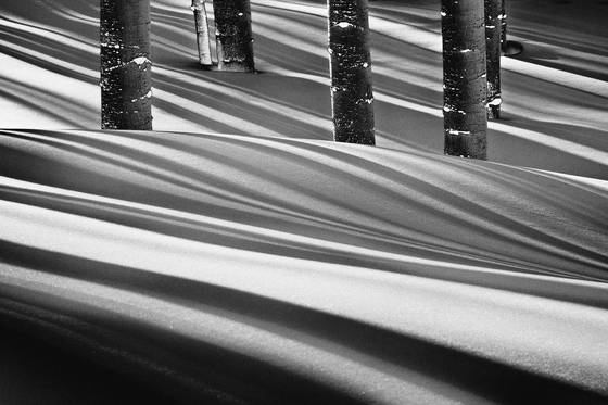 Winter_shadows