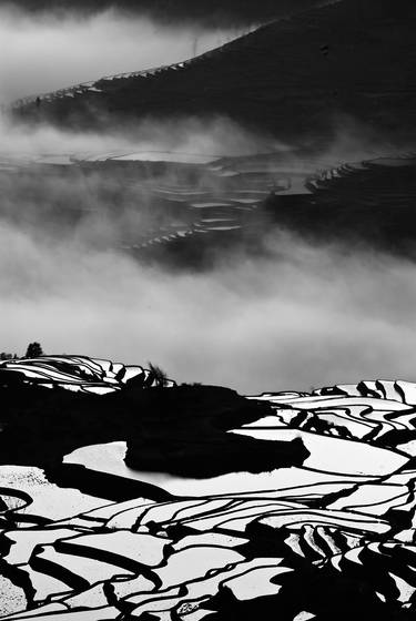 Rice_terrace_1