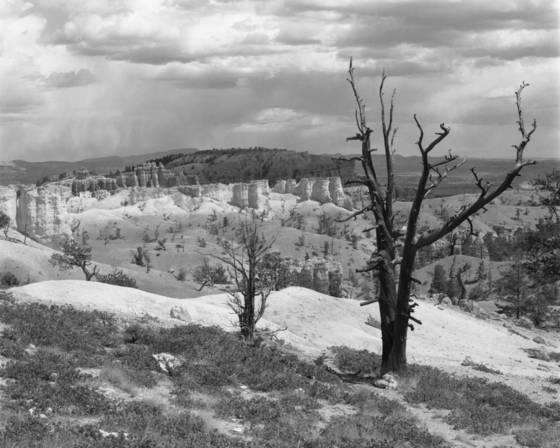 Bryce_canyon__2