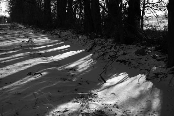 Shadows