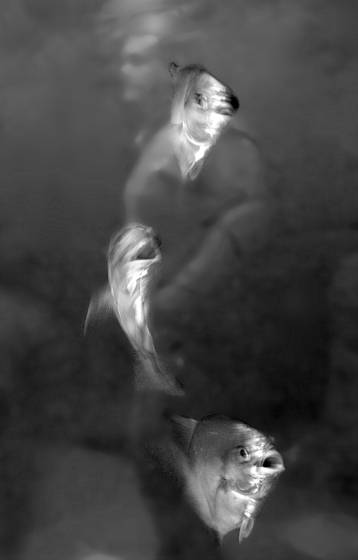 In_the_aquarium__2