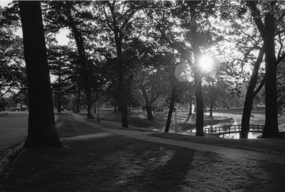 Deering_park_sun