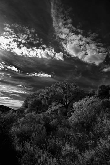 Geometric_sky