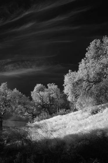 Hillside