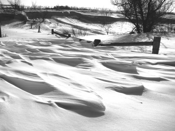 Snowdrifts