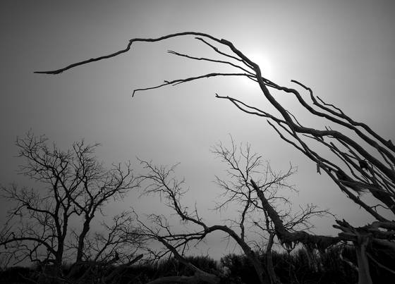 Untitled_10