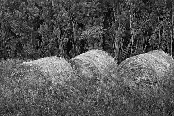 Untitled_2