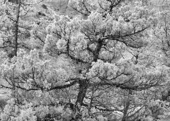 Untitled_3