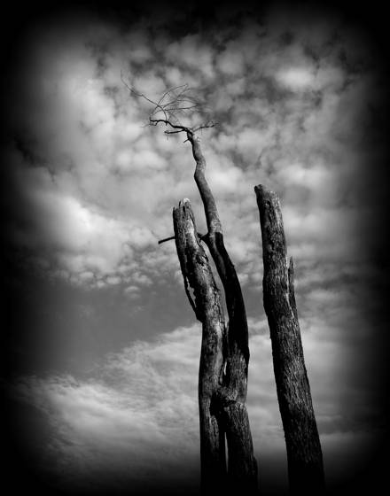 Cloud_scratcher
