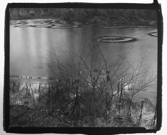 Fire_pond