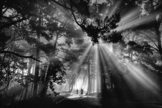 Lightscape_1