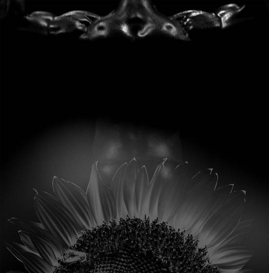 Dream_ii