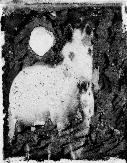Ride_the_white_horse