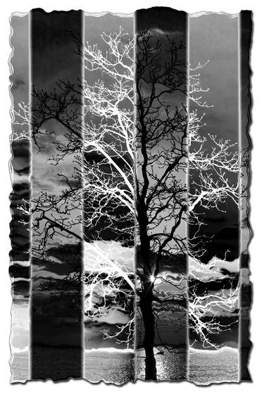 Parallel_worlds