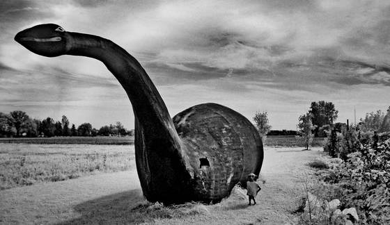 Untitled_11