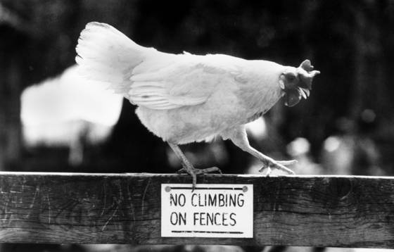 Taking_risks