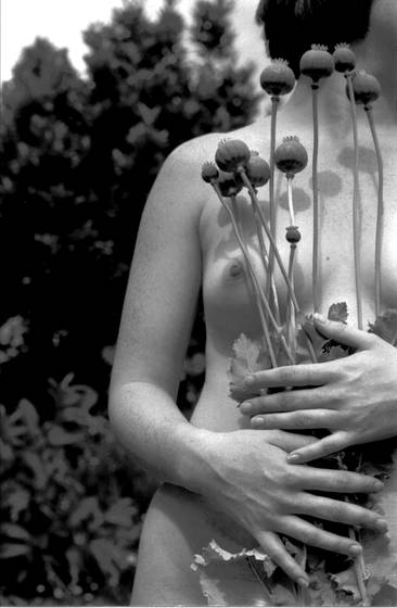 Untitled_6