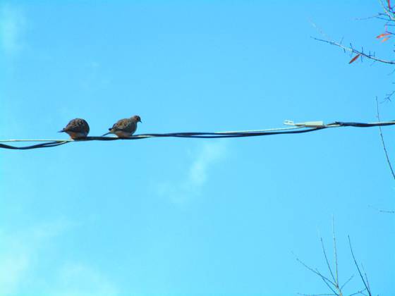 Untitled_47