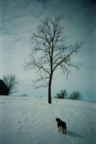 Leaving_home