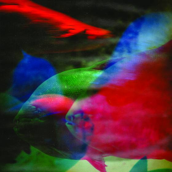 Aquarium_series_no__2