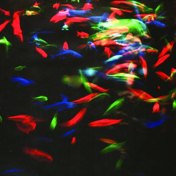 Aquarium_series_no__4