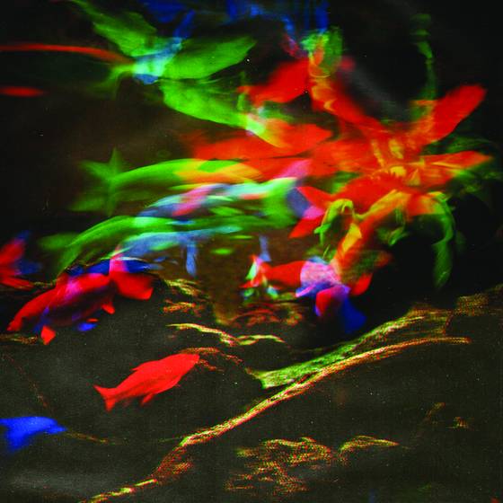 Aquarium_series_no__5