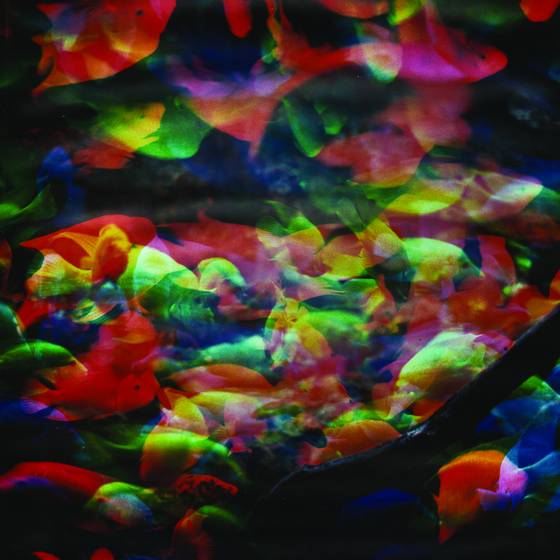 Aquarium_series_no__6