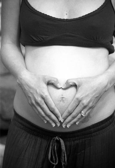 The_pregnancy