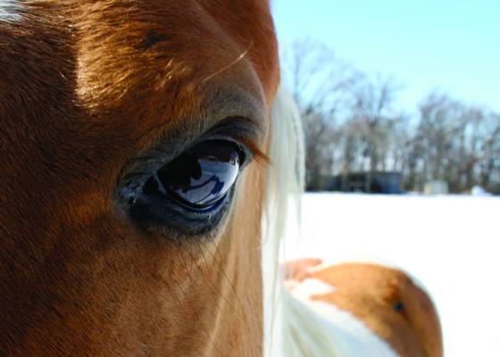 I_can_see_you