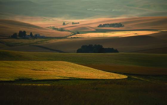 Evening_view_from_kamiak_butte