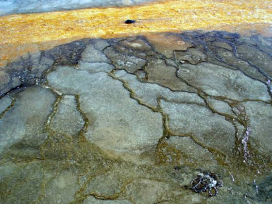 Yellowstone_66