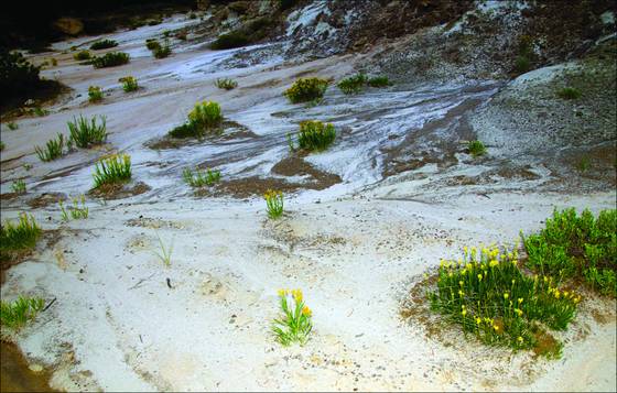 San_jose_badlands_4