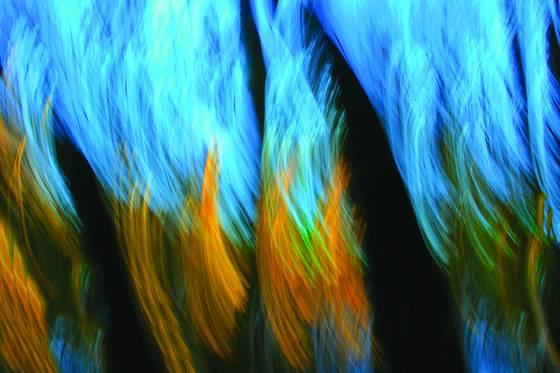 Fall_mystique