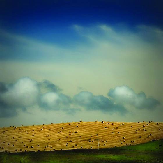 Farmlands
