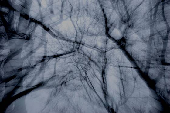 Untitled_1