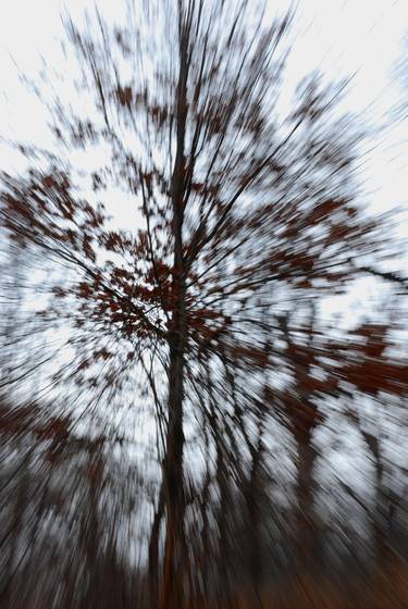 Untitled_6