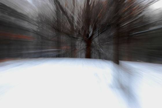 Untitled_7