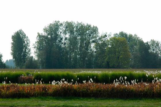 Giverney