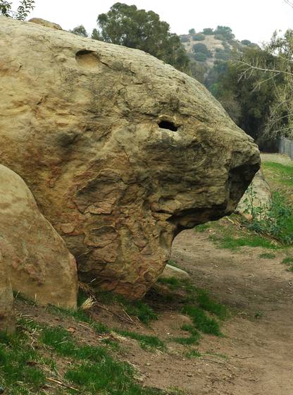 Lizard_rock