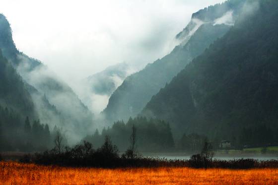 The_pond_-_winter