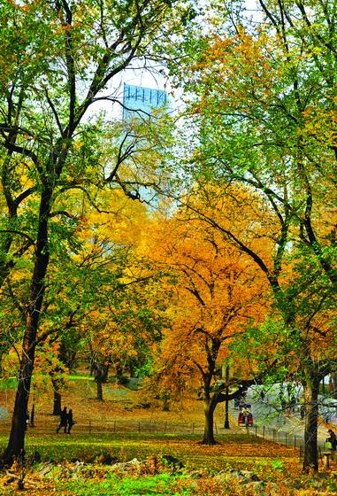 Central_park