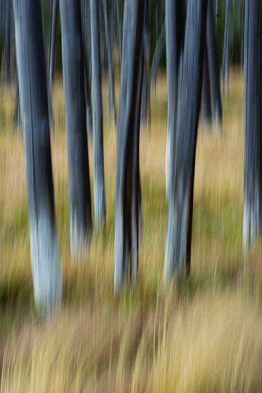 Untitled_5