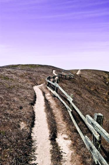 Path