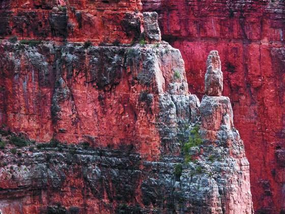 Kaibab_canyon_2